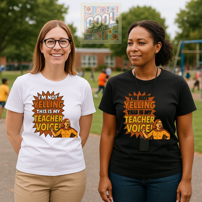 sarcastic teacher shirt gift women